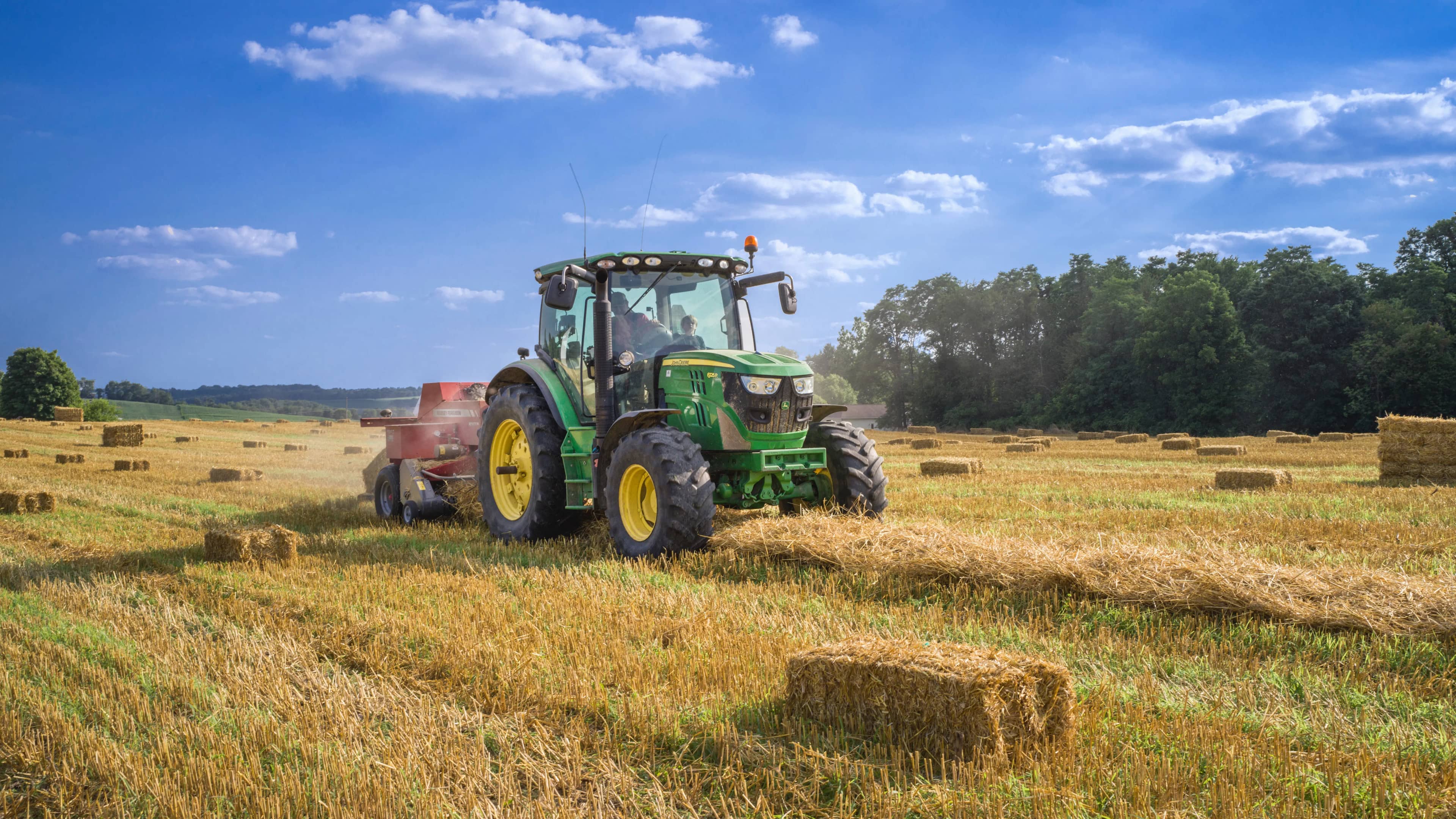 Landwirtschaft